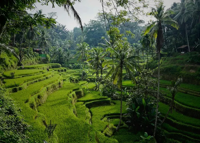 Emana Wedari Resort Ubud (Bali)